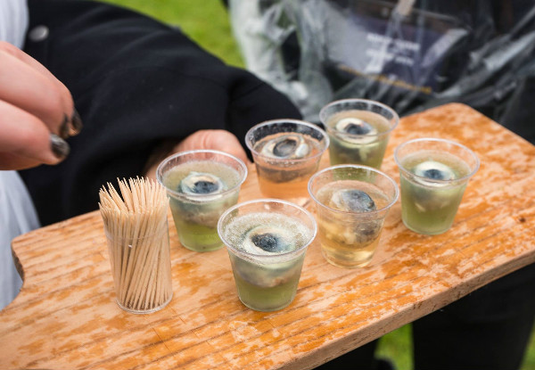 One Adult Entry to the Hokitika Wildfoods Festival incl. Entry to the Afterparty on the 10th of March 2018