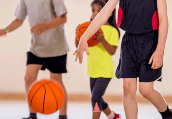 Indoor Training Silent Practice Ball