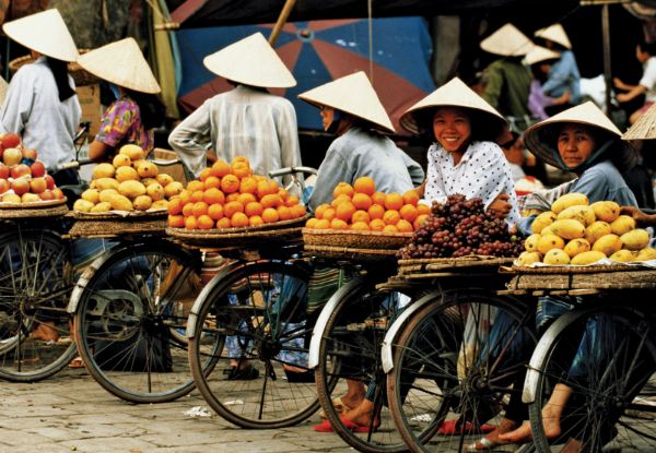 Per-Person, Twin-Share 10-Day Tour from South to North Vietnam incl. Accommodation, Domestic Airfares, Some Meals & More - Options for Three, Four & Five Star Hotels Available