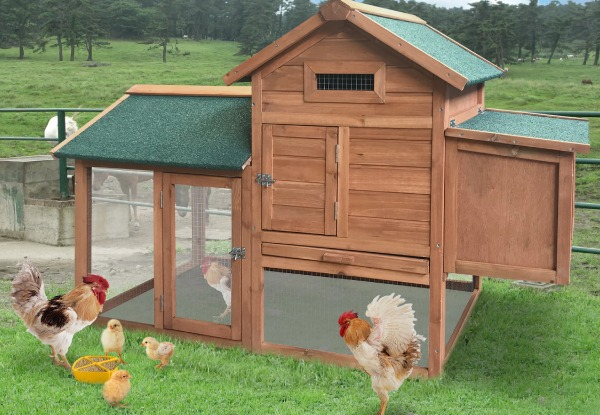 Wooden Chicken Coop