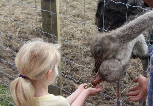 Farm Tour at Rotorua Heritage Farm - Options for Adult, Child or Family Pass