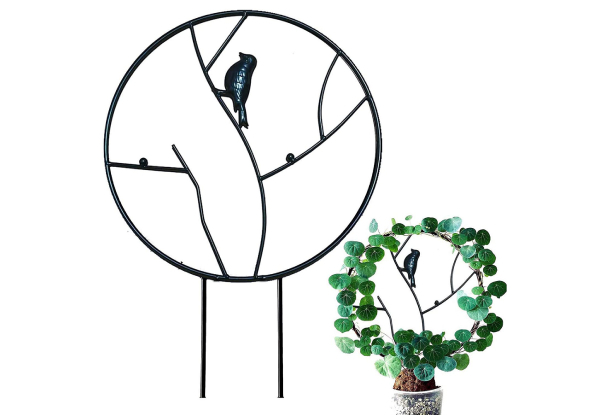 Vine Climbing Rack - Two Sizes & Two Colours Available