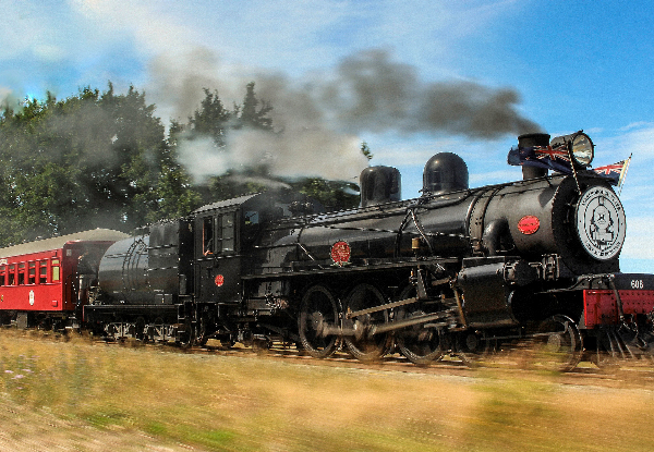Return Trip for One Person on the Marlborough Flyer Steam Train