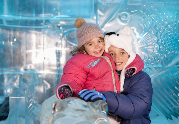 Minus 5 ICE BAR Experience - Available Before 7pm - Options for Adults, Children, or Family Pass