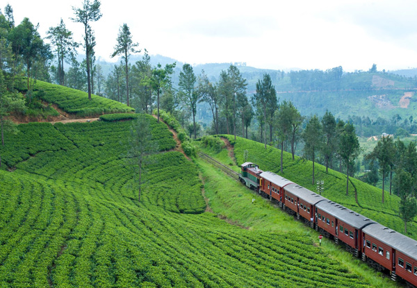 Discover Sri Lanka 13 Day Tour for Two People incl. Accommodation, Breakfasts, Transportation, Entrance Fees with English Speaking Tour Guide & More