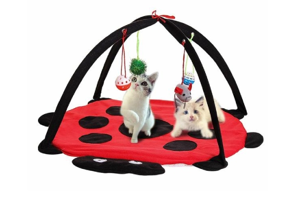 Cat Play Bed Activity Tent