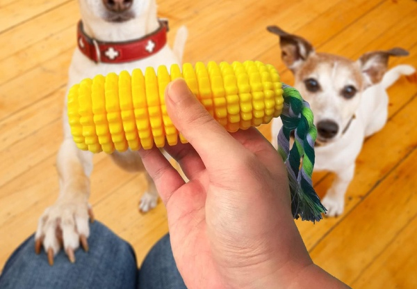 Durable Squeaky Dog Chew Toy