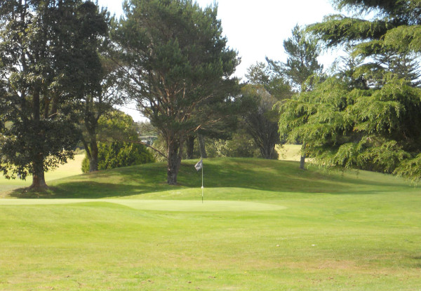 Round of Golf for One Person incl. a Beer or Soft Drink - Options for up to Four People