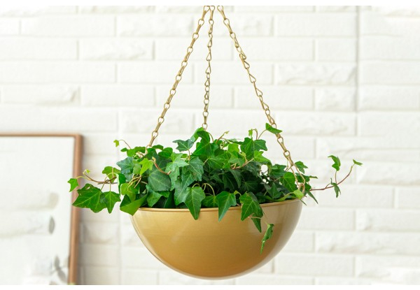 Two-Set Iron Hanging Flower Pots - Two Colours Available