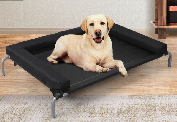 PaWz Elevated Pet Bed - Two Colours Available