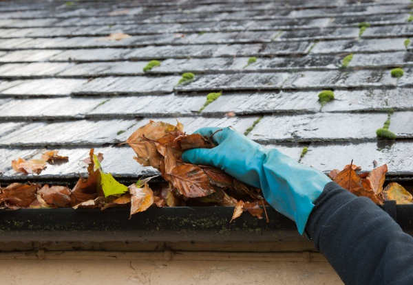 Gutter Cleaning for Houses up to 160m2 - Option for House up to 240m2