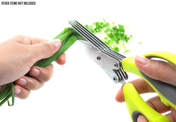 Five-Blade Stainless Steel Professional Herb Scissors