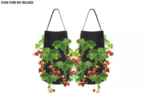 Hanging Strawberry Planting Grow Bag - Option for Two