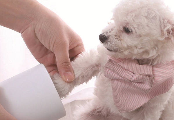 Pet Paw Cleaning Tool - Three Colours Available