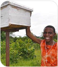 World Vision Beehive