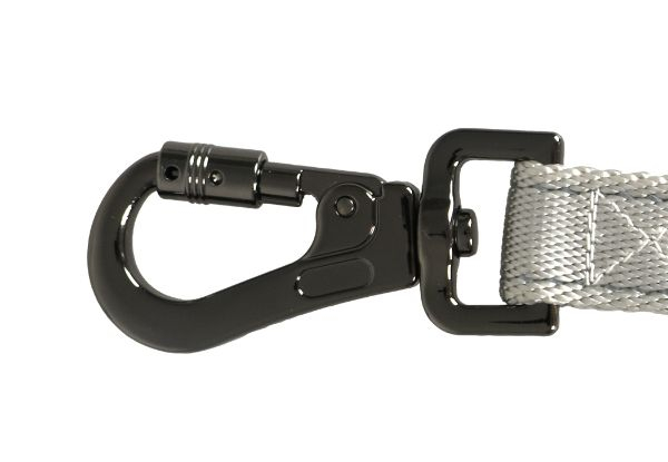 PaWz LED Extendable Dog Leash - Two Colours Available