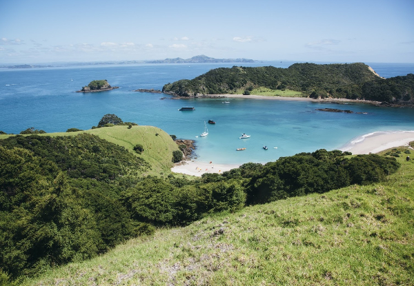 Three-Night Bay of Islands Getaway for One Person incl. All Transport, Guides, Camping Accommodation, Breakfast, Dinner & More