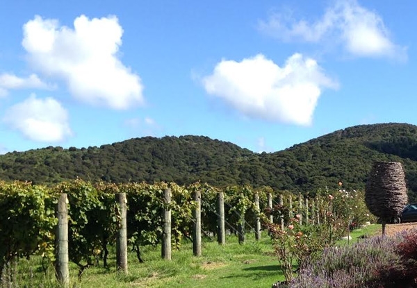 Wine Tastings at Three Vineyards on Waiheke Island incl. BBQ Tasting, Pick Up & Drop Off to the Ferry Terminal – Options for up to Eight People