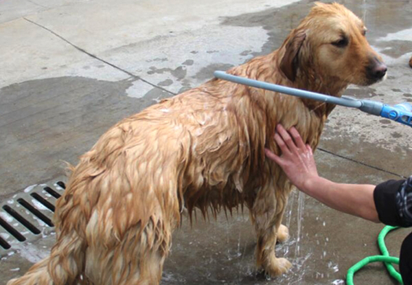 360-Degree Pet Shower - Two Sizes Available