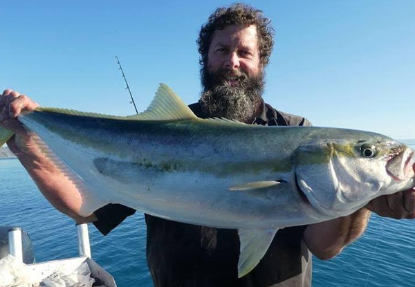 Four-Hour West Coast Fishing Trip for One incl. Gear Hire, Bait & Food - Options for a Six-Hour West Coast Inshore Fishing Trip in Cook Strait & Full-Day Deep Water Charter in Cook Strait for One incl. BBQ Lunch for One Available