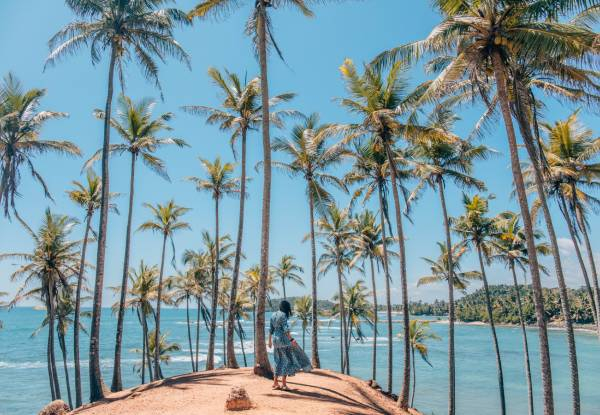 Per Person, Twin-Share Nine-Day Sri Lankan Private Tour Package Incl. Airport Pick-Up, 3/4 Star Accommodation, Private A/C Transport, English Speaking Guide/Chauffer, Breakfast & Dinner