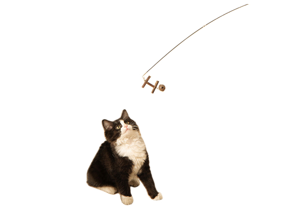 One-Pack Retractable Cat Fishing Pole Toy incl. Four Heads - Option for Two-Pack