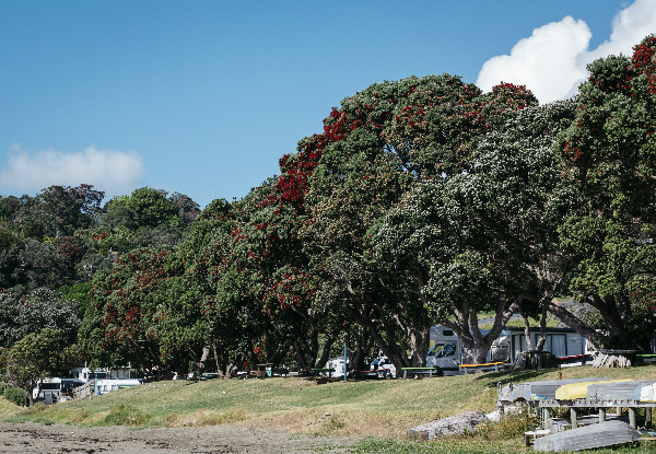 Two Nights on the Matakana Coast in a Cabin for Two People incl. Late Checkout – Options for Beachfront, Families of Four & up to Three Nights