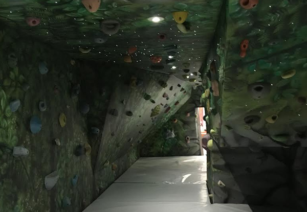 One-Hour Clip N Climb - Option for One-Hour Rock Climbing & One-Hour of Clip N Climb