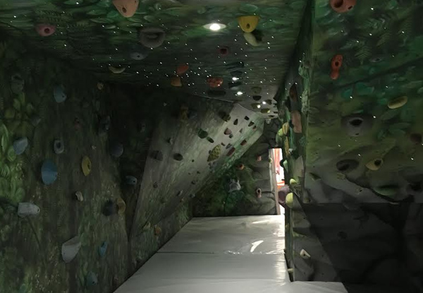 $9 for a Single Entry to Rock Climbing or Clip N Climb - Options Available for One or Two People (value up to $34)