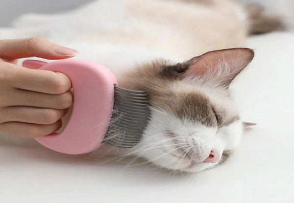 Pet Massager Shell Comb - Three Colours Available
