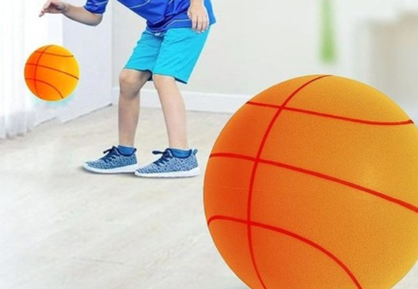 Indoor Training Silent Practice Ball