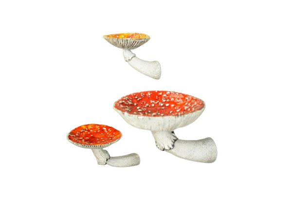 Mushroom Hanging Shelf - Three Sizes Available & Option for Two-Pack