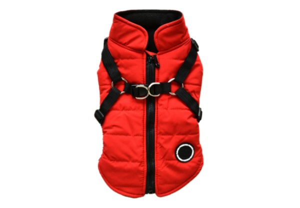 Winter Padded Coat for Dogs - Available in Six Colours & Six Sizes