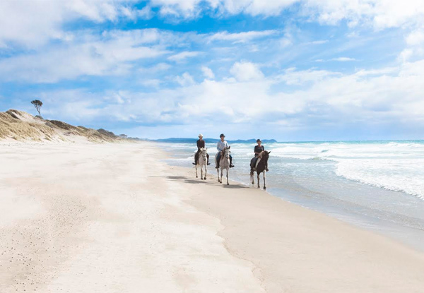 One-Hour Scenic Horse Trek Along Pakiri Beach- Option for Two People