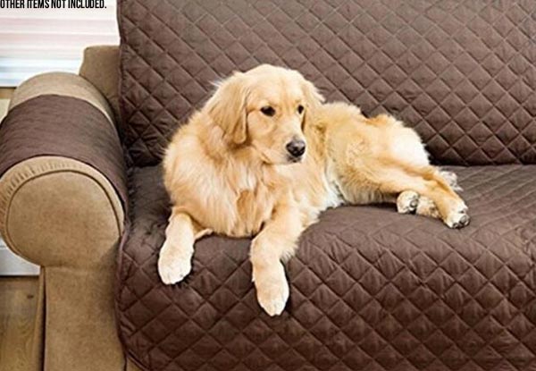 Pet Sofa Cover with Free Metro Delivery