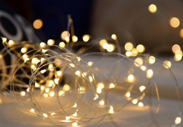 10-Metre USB Seed Lights with Free Delivery