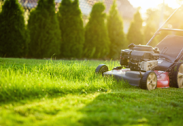 Lawn Care & Garden Maintenance - Eight Options Available