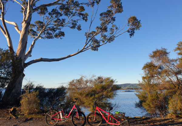 One-Hour Rotorua Electric Cruiser Bike Hire for Two -  Options for Two Hours & Electric Single Suspension Hardtail Mountain Bike or Electric Full Suspension Mountain Bike