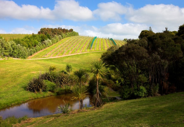 Waiheke Island Experience & Wine Tours Half Day for One Person - Options for Premium Full Day