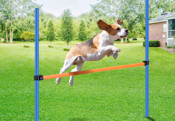 Dog Agility Equipment - Two Options Available