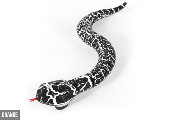 Remote Control Snake - Four Colours Available