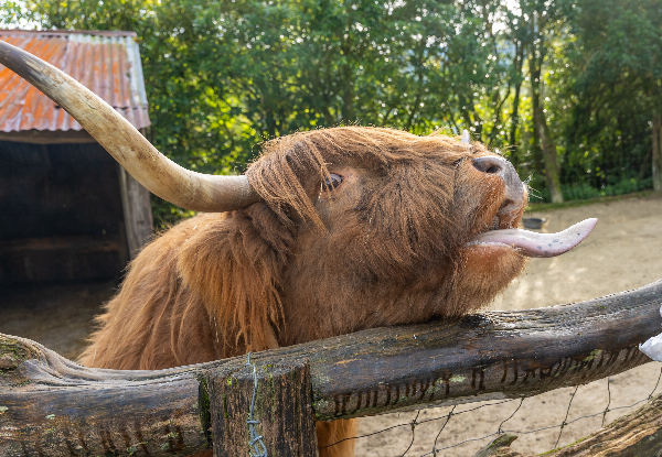 Adult Admission to Staglands Wildlife Reserve - Open Seven Days