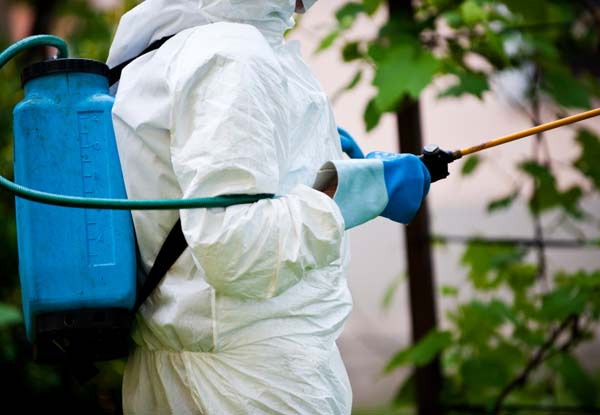 From $65 for a Pest Control Spray Treatment – Interior & Exterior Options Available (value up to $250)