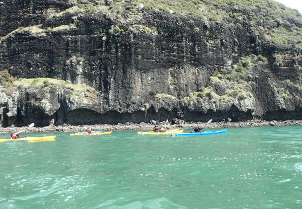 Guided Kayak Day Trip in a Spectacular Part of Northland for One-Person, incl. Lunch - Option for Two People