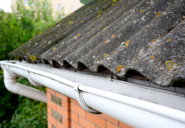 Three-Bedroom Home Roof Treatment for Lichen, Moss, Mould & Black Algae Removal - Option for up to Five-Bedroom Home