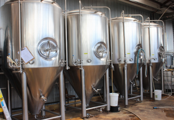 Family Feast at Te Aro Brewing - Options for Up to Four Kids