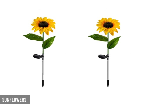 Two-Pack Flower Solar Lights - Seven Options Available