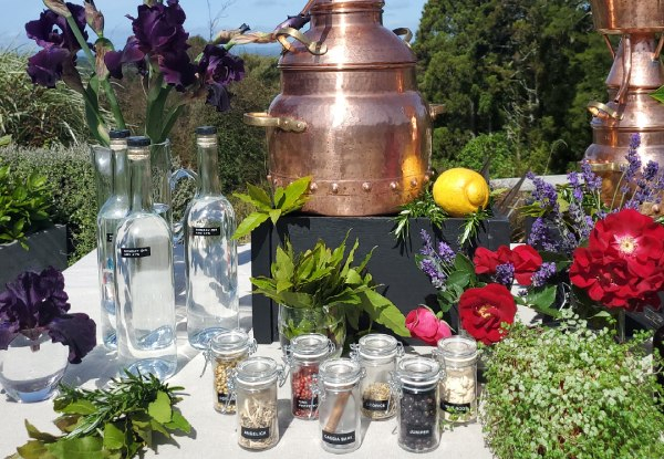 Gin Experience incl. Full Lunch - Option for Gin Workshop incl. Grazing Platter or Gin School incl. Distill & Take Home Gin