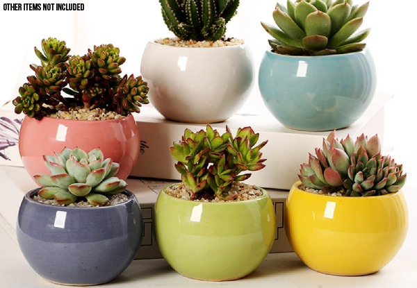 Six-Piece Ceramic Succulent Cactus Planter Pots