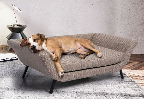 PaWz Elevated Pet Sofa Bed Couch